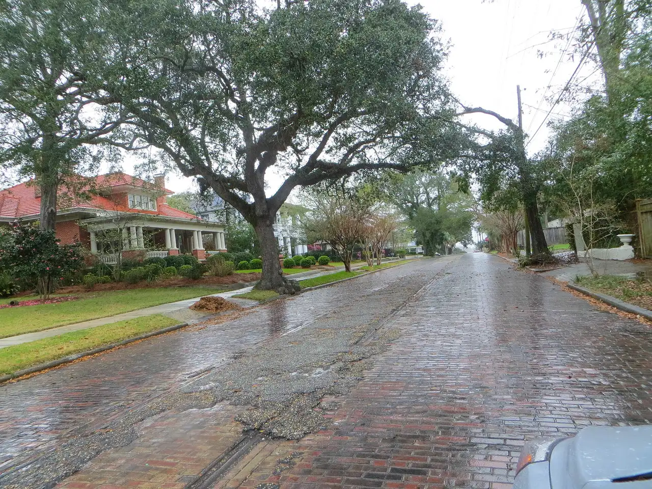 A brick-paved stretch of DeSoto Street at Spring Street, lined with trees and older houses, in Pensacola's North Hill.