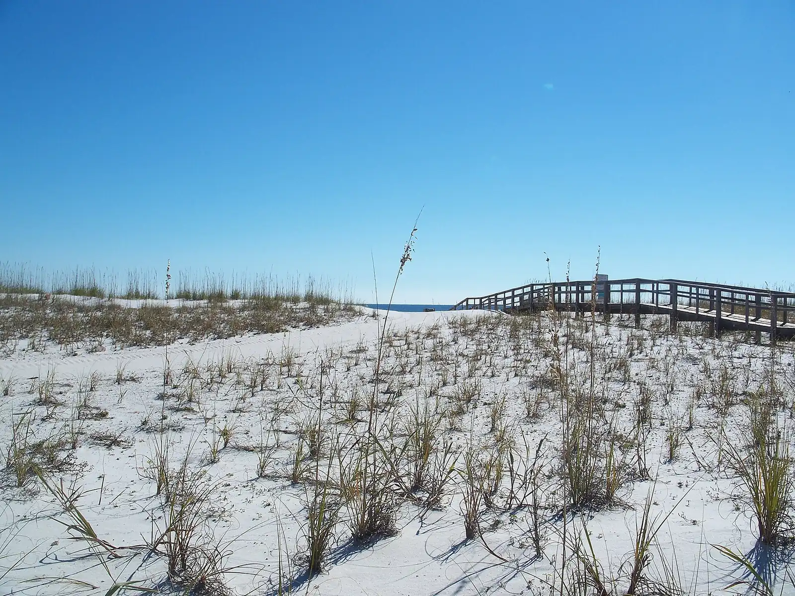 A dune walkover crosses the sea oats to the Gulf on Pensacola Beach, where the beach turkey trot runs on Thanksgiving morning.