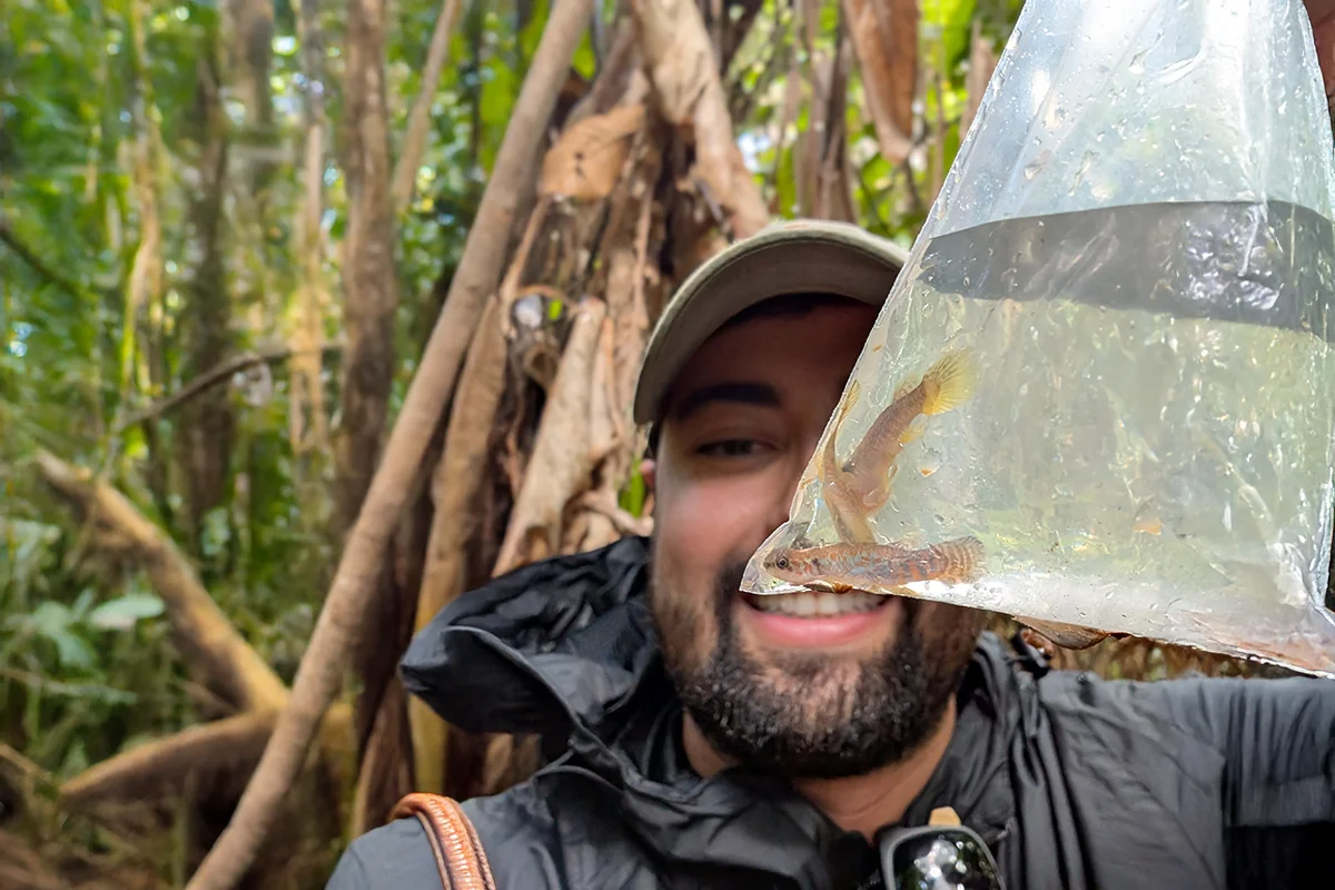 UWF assistant biology professor Waldir Miron Berbel-Filho holds a bag of killifish during fieldwork in the Brazilian Amazon.